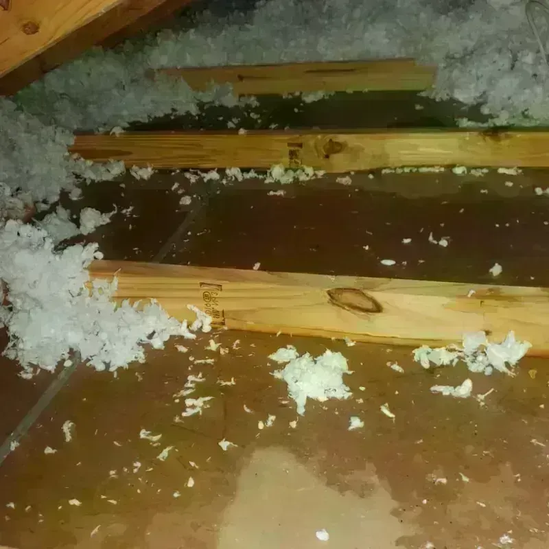 Attic Water Damage in Belmont, NH